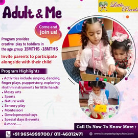 Little Pearls Play School - Toddler Program 