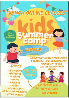 French Online Classes-Summer Camp