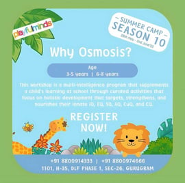 Playful Minds-Why Osmosis (Summer Camp Session 10)