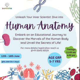 Smart Station-Human Anatomy