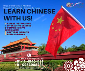 Oracle International Language Institute-LEARN CHINESE WITH USea